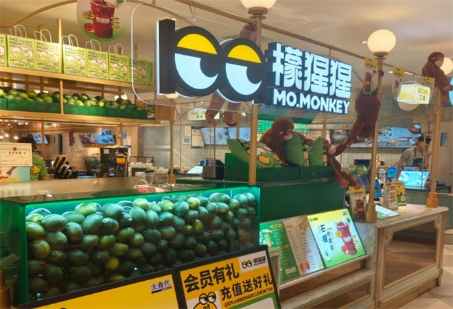 MO.MONKEY