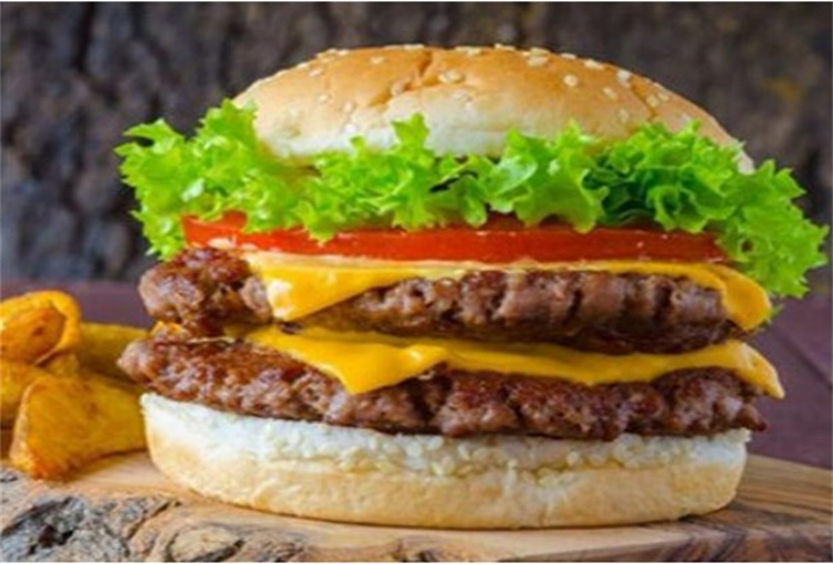 Exploring KDS Burger Franchise: What Services Do They Offer?