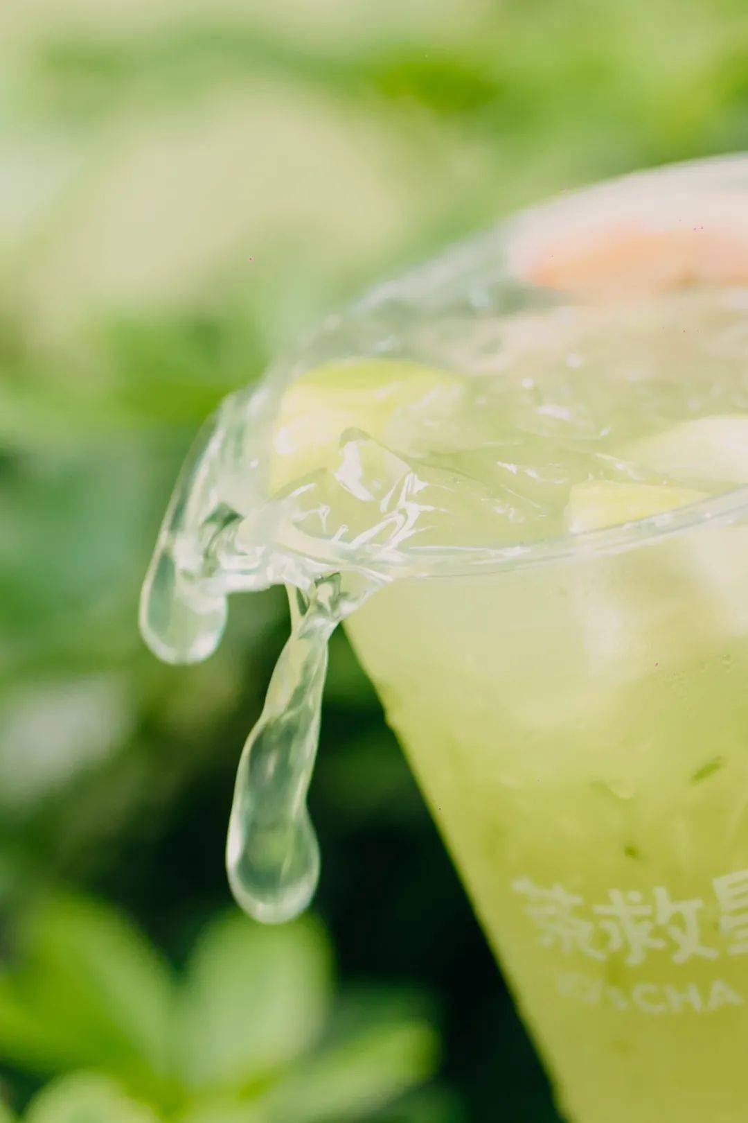 T% Tea House Bids Farewell as We Welcome Tea's Here!